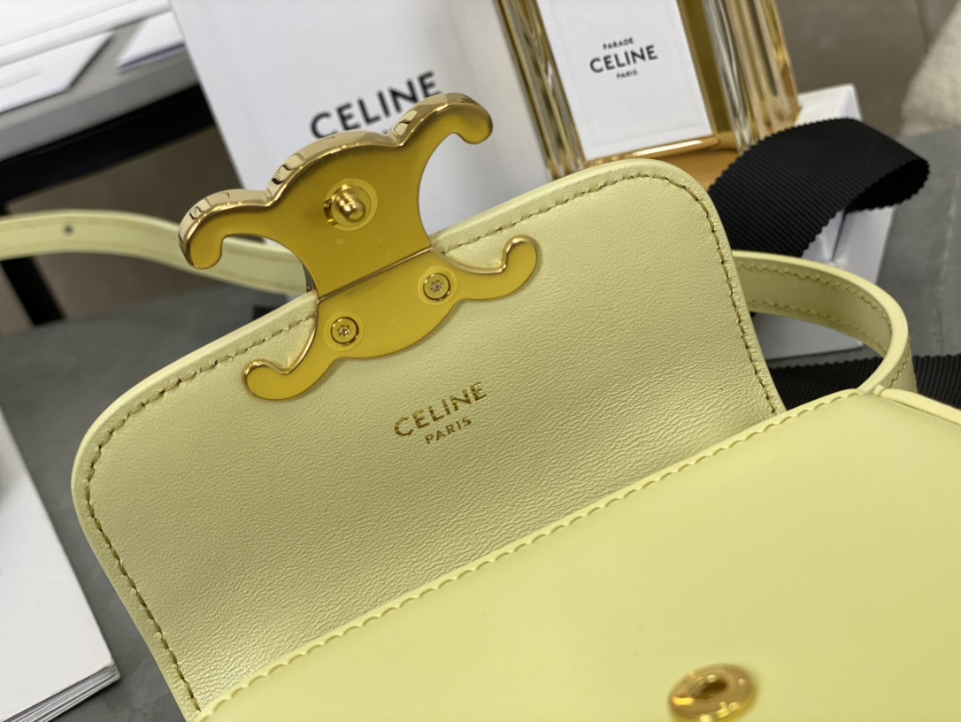 Celine Besace Bags